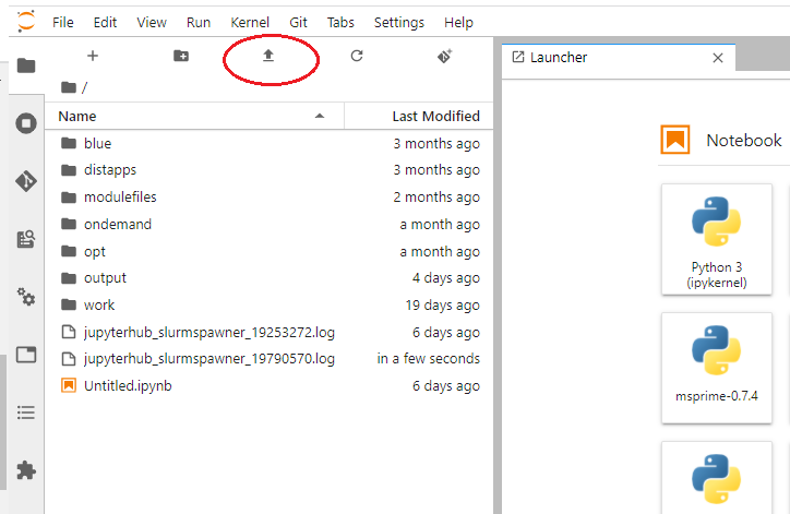 JupyterHub